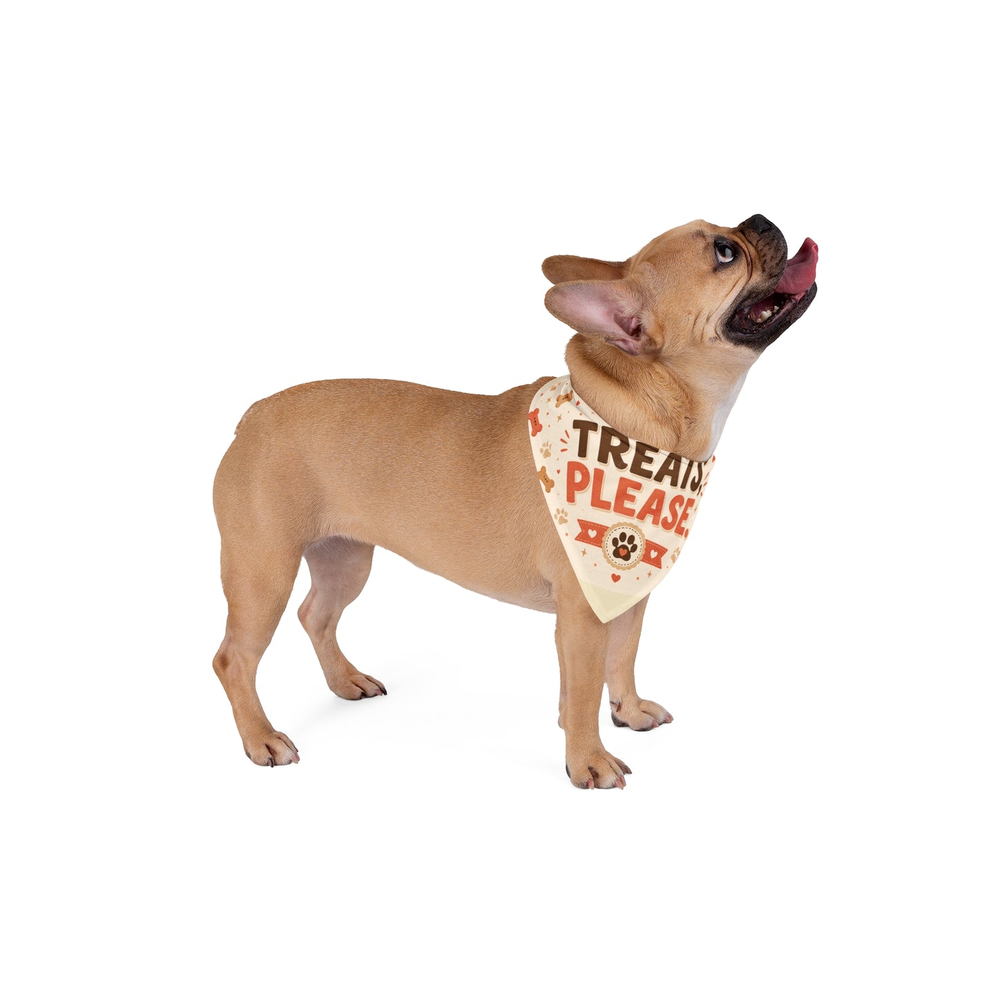 Treats Please Pet Bandana — Dog Bandana