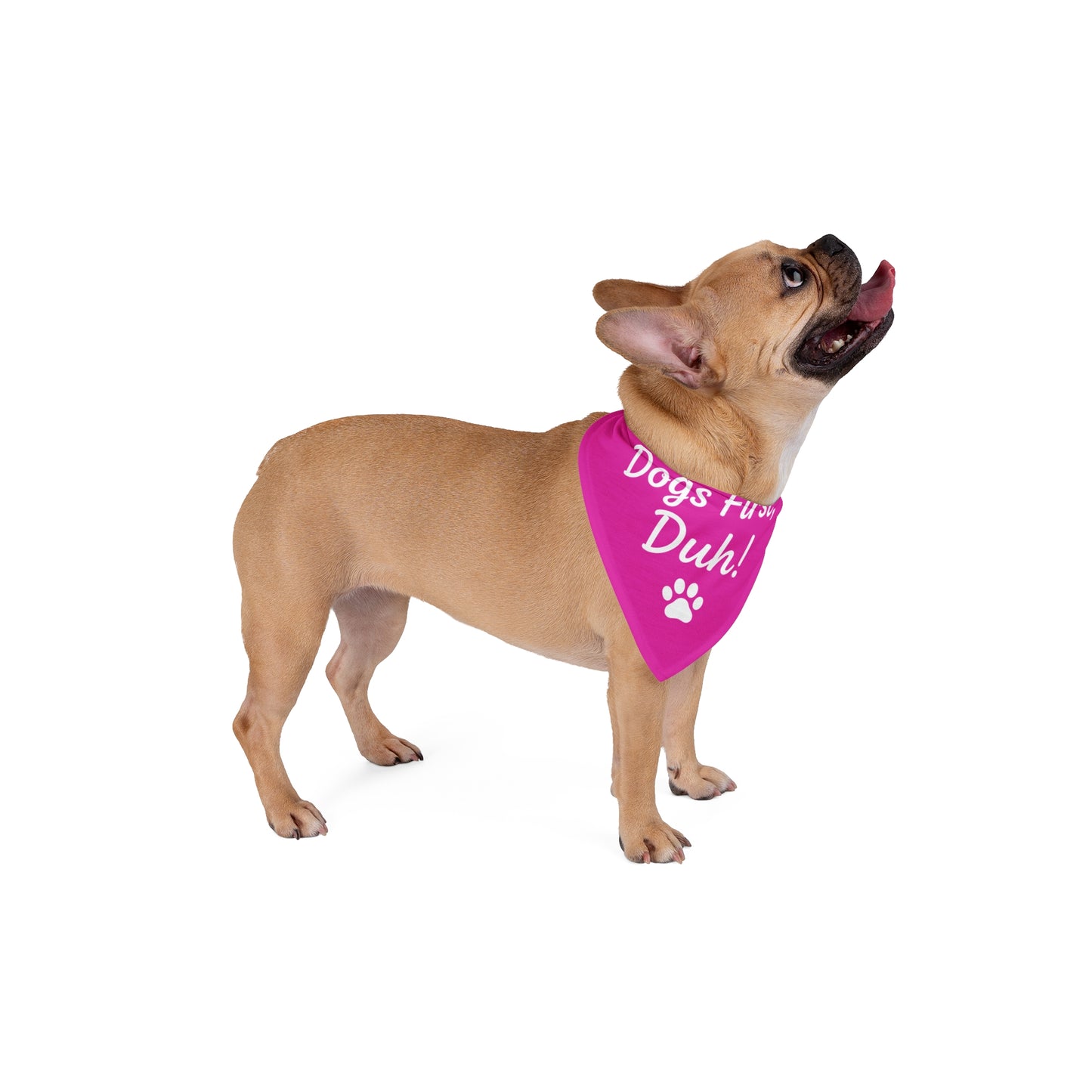 Dogs First, Duh Pink— Dog Bandana
