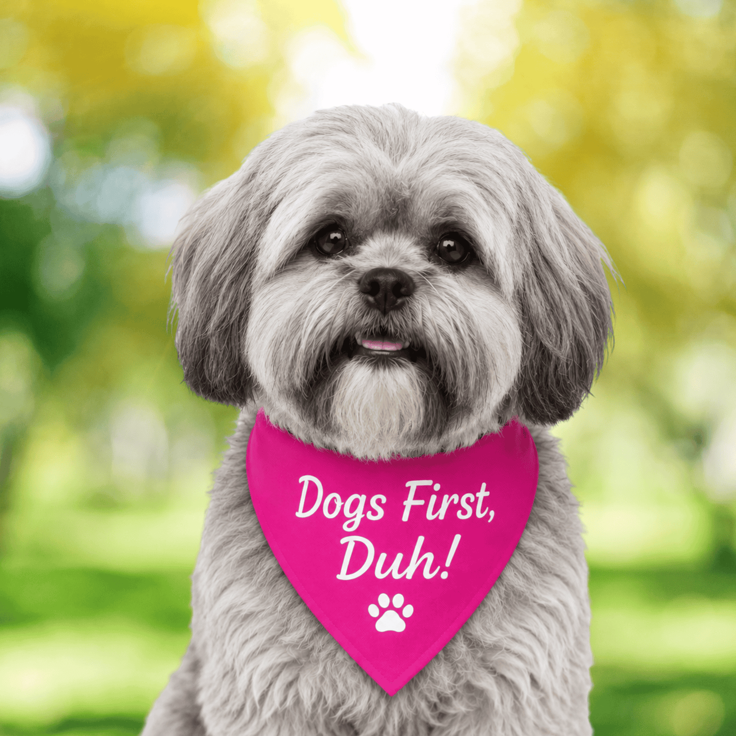 Dogs First, Duh Pink— Dog Bandana